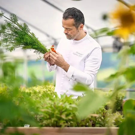 Imlauer Schloss Pichlarn Aigen im Ennstal