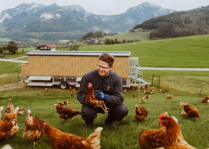 Feriested Imlauer Schloss Pichlarn Aigen im Ennstal